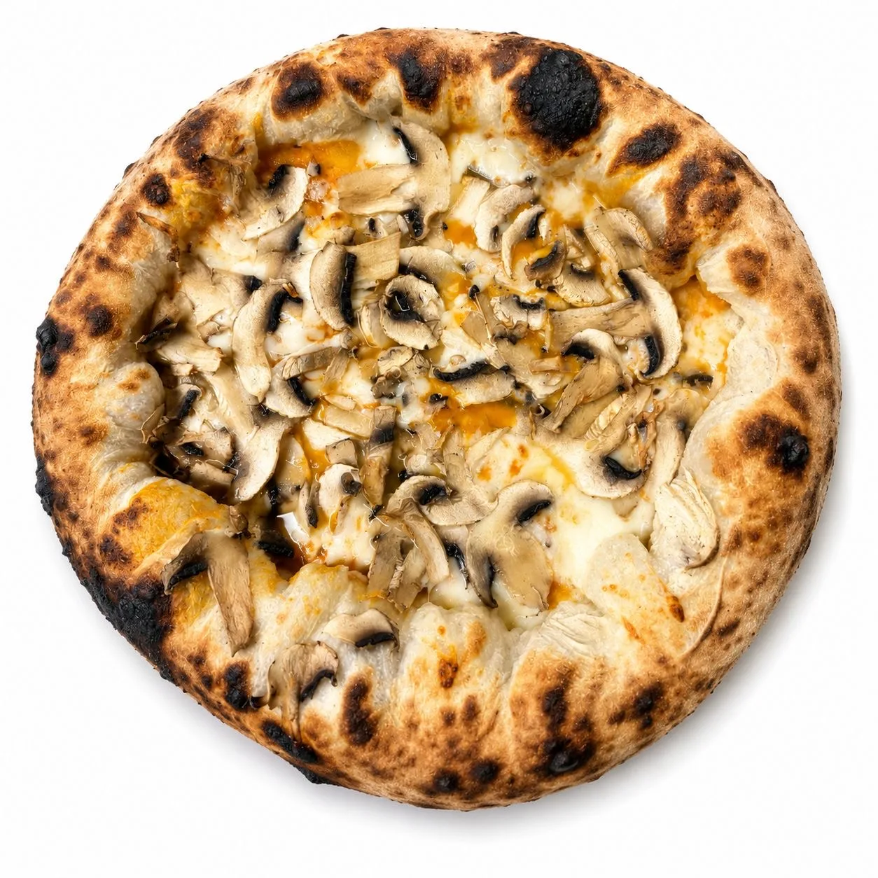 Funghi